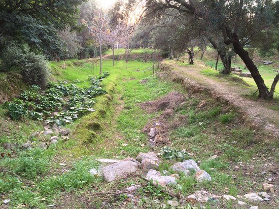 Plato's Academy Archeological Park